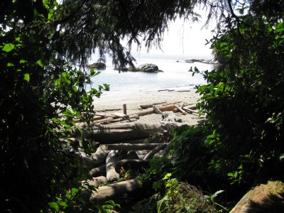 First view of Thrasher Cove