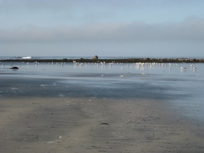 IMG_1909.JPG