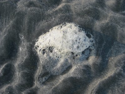 IMG_1912.JPG