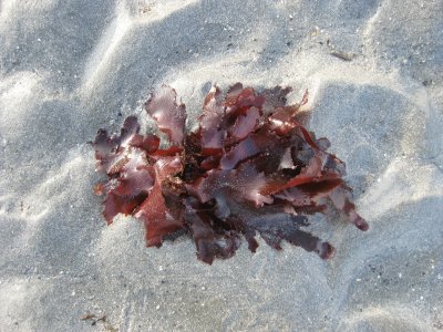 IMG_1913.JPG