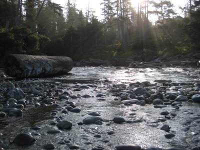 IMG_1920.JPG