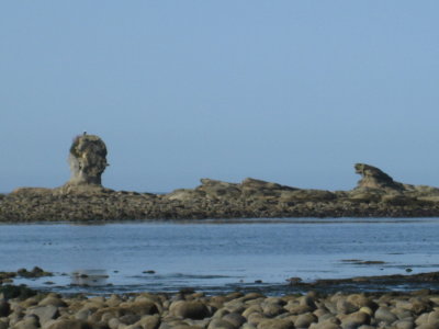IMG_1926.JPG