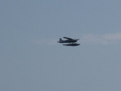 IMG_1931.JPG