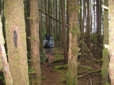 IMG_1953.JPG