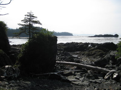 IMG_1963.JPG