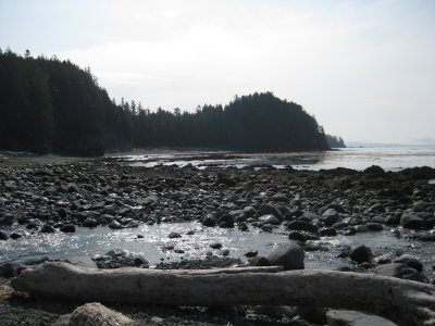 IMG_1964.JPG