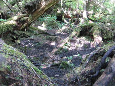 IMG_1970.JPG