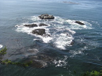 IMG_1972.JPG