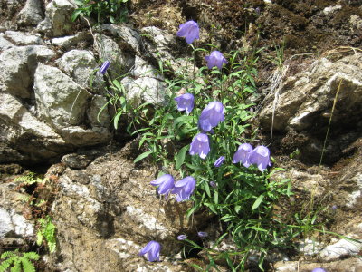 IMG_1974.JPG