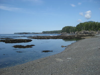 IMG_1985.JPG