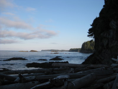 IMG_1993.JPG