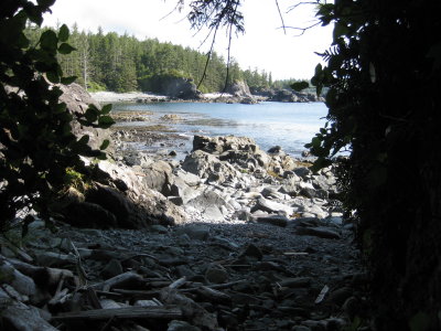 IMG_2035.JPG