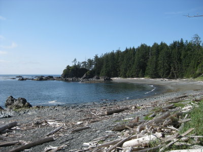 IMG_2036.JPG