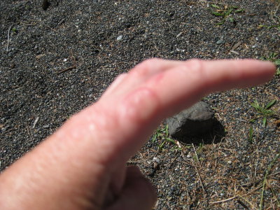 IMG_2043.JPG