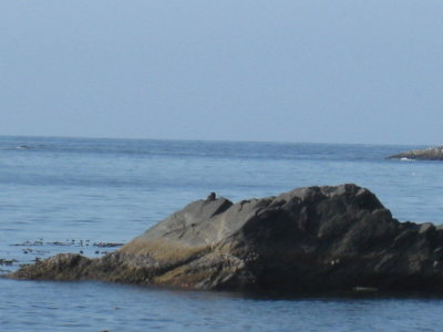 IMG_2053.JPG