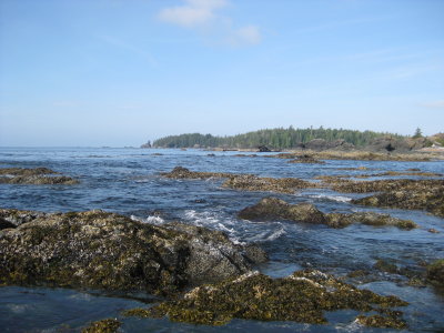 IMG_2055.JPG