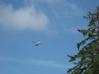 IMG_2057.JPG