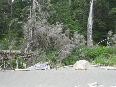IMG_1655.JPG