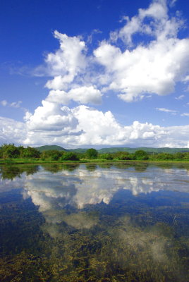 Kafue River Scene