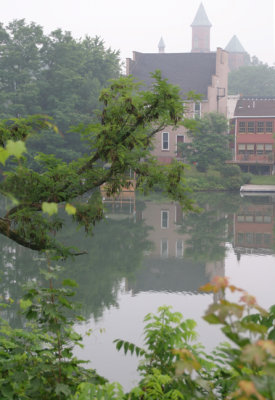 foggy morning along the canal