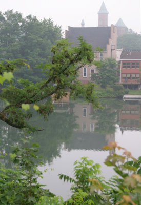 foggy morning along the canal