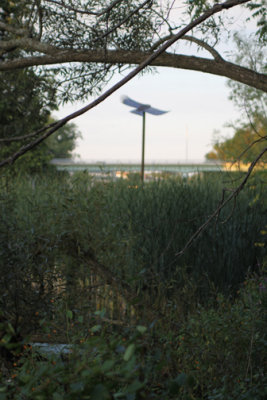 Bird sculpture through the trees