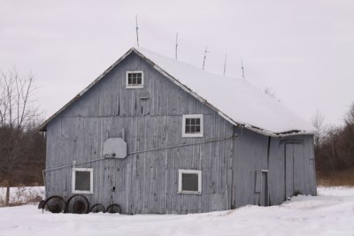 small blue barn