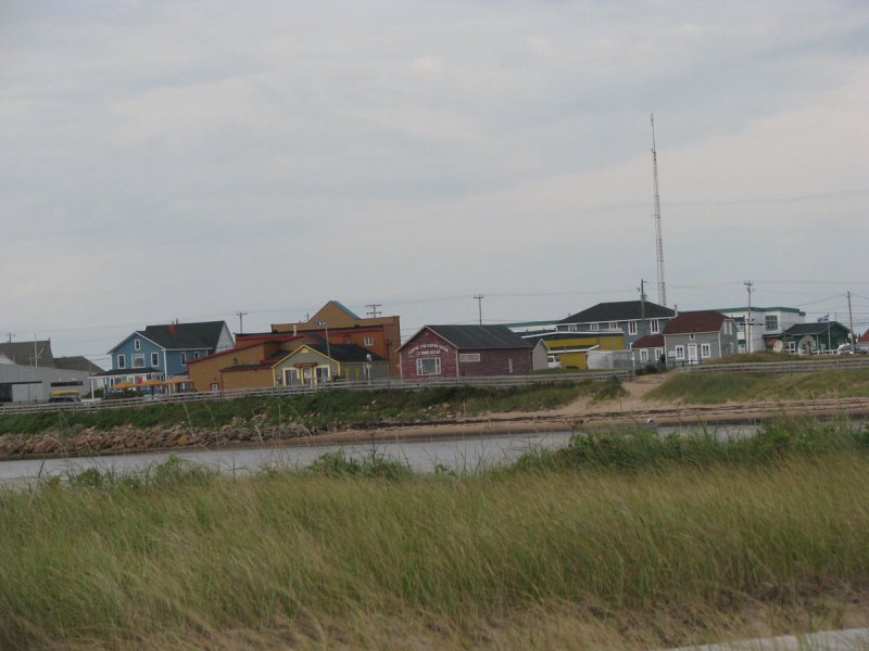 IMG_7216.jpg