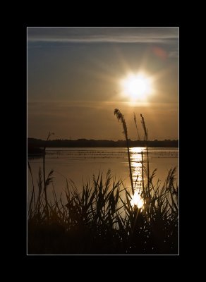 g1/81/700881/3/104004279.mBJRS7Lz.jpg