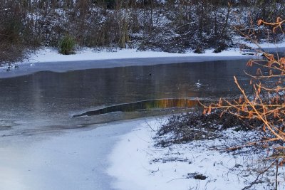 hiver
