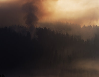Yosemite Controlled Burn in Fall2