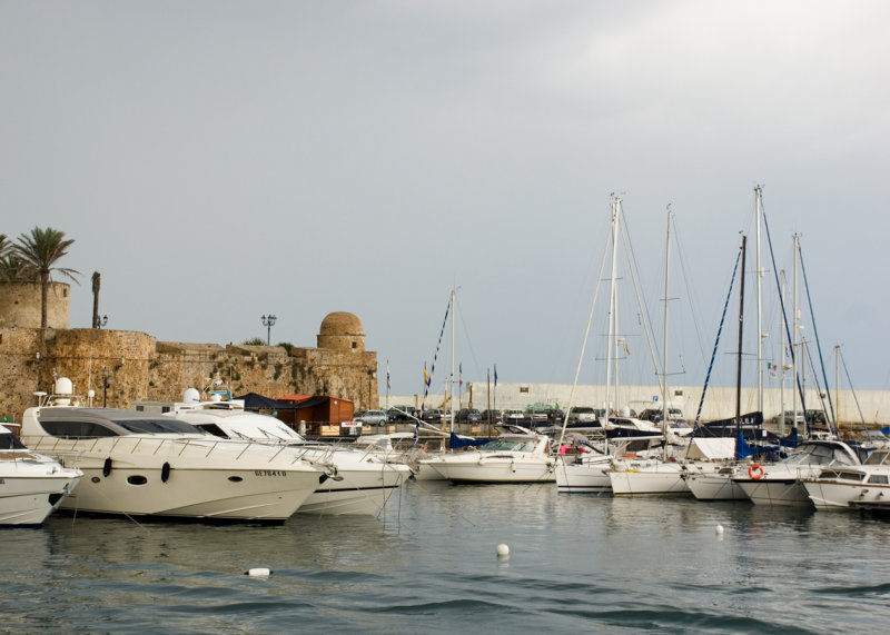 DSC_10386.jpg