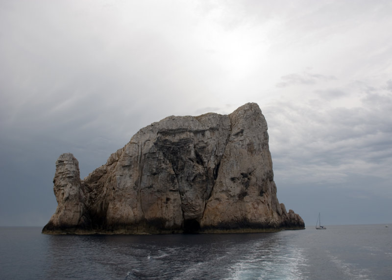 DSC_10518.jpg