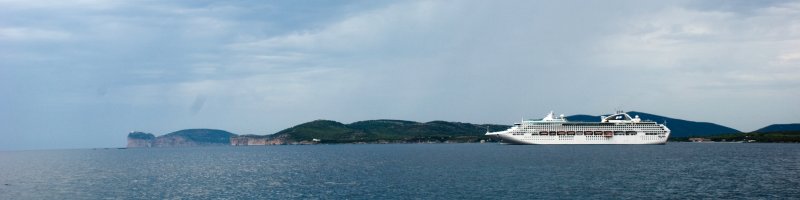 DSC_10774.jpg