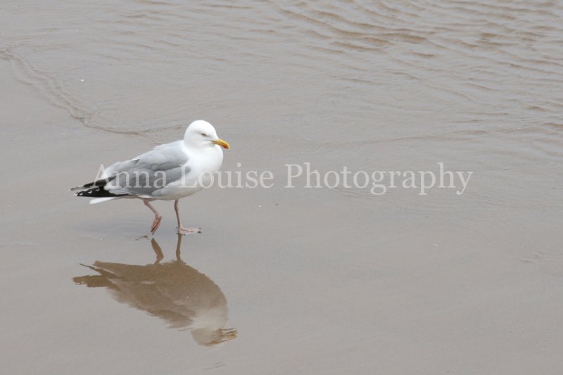 Filey
