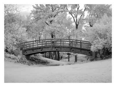 Bridge in Park