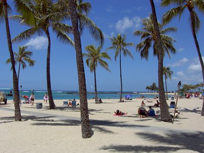 Beach near Waikiki