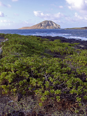 Makapuu and Rabbit Island