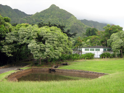 Nuuanu Pali Drive