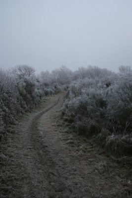 vrouwepolder