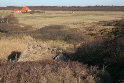 Texel