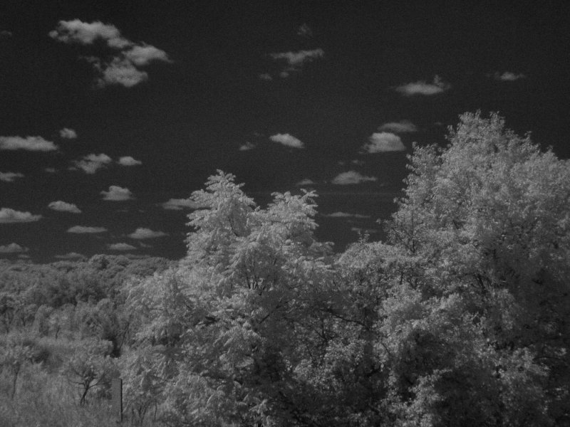 lx3_ir3_5aug09.jpg