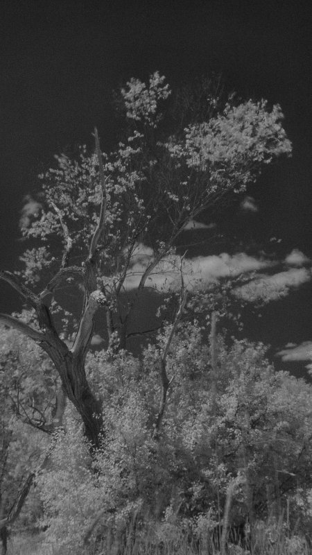lx3_ir4_5aug09.jpg
