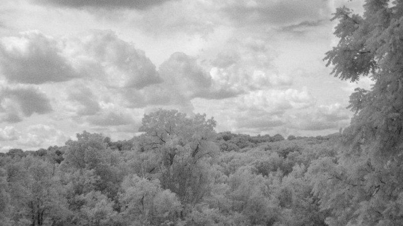 lx3_ir7_7aug09.jpg