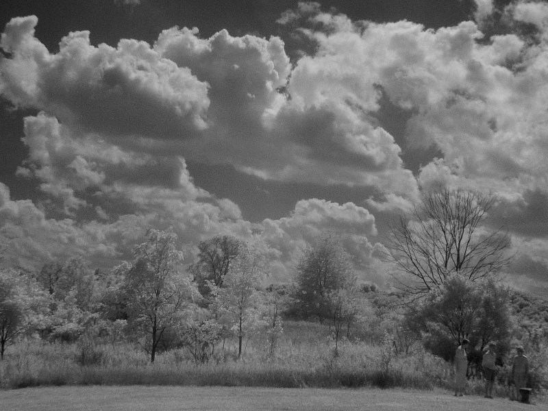 lx3_ir5_18aug09.jpg