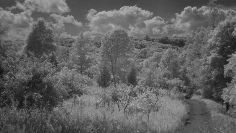 lx3_ir6_18aug09.jpg