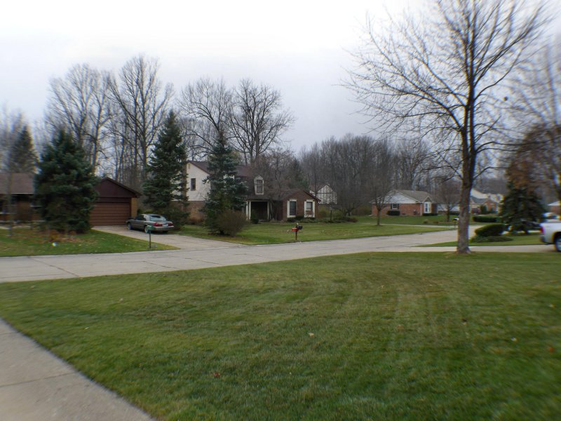 test42.jpg