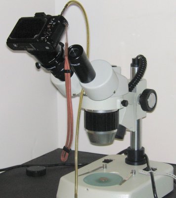 lx3_microscope.jpg