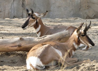 20100930_7.JPG