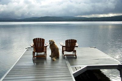 Solitude + Best friend = Paradise